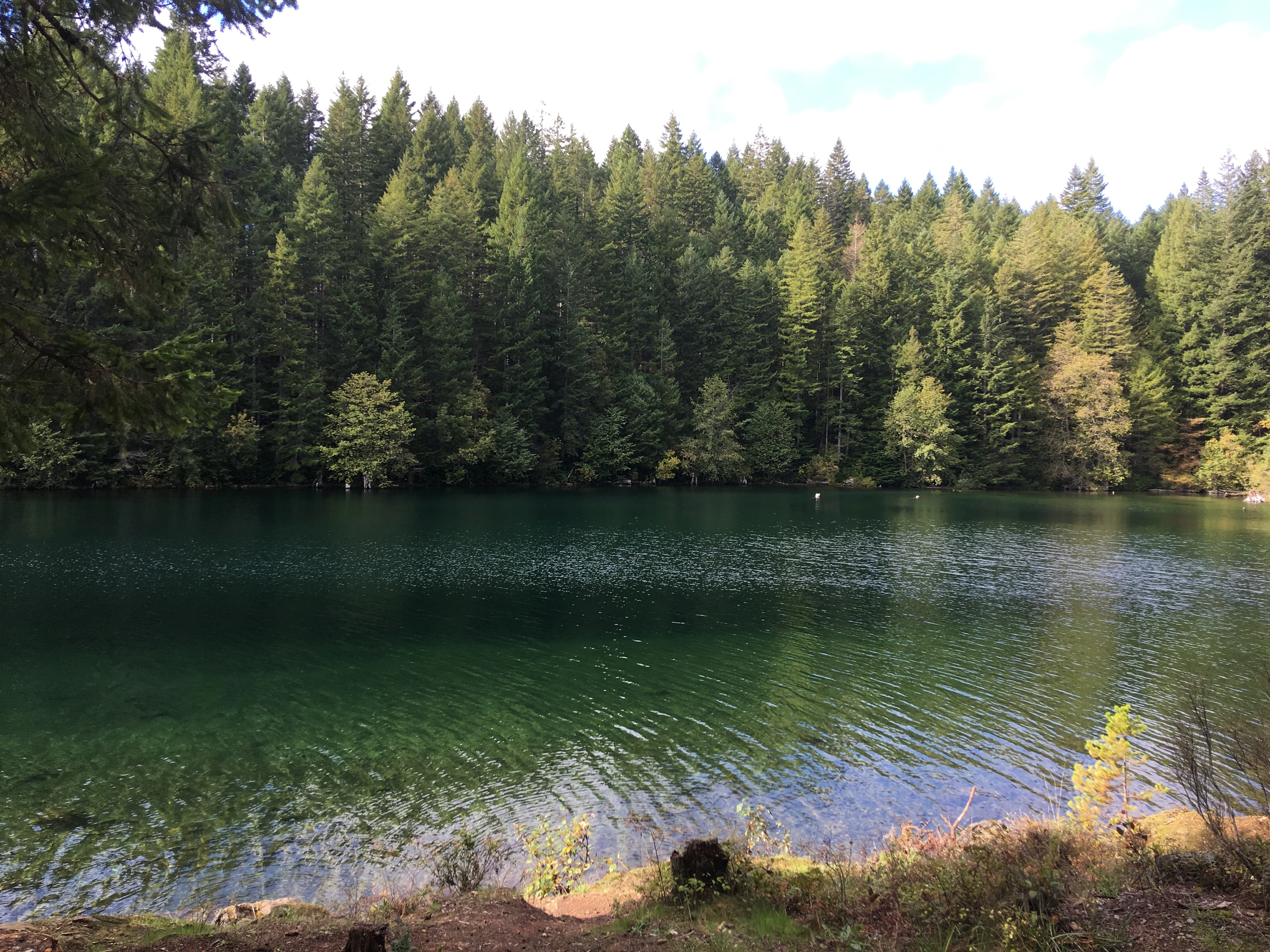 Photo: Recreation Sites and Trails BC. © Province of British Columbia, licensed under the Open Government Licence – British Columbia. Burnt Beach, photo 6