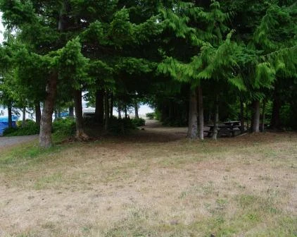 Photo: Recreation Sites and Trails BC. © Province of British Columbia, licensed under the Open Government Licence – British Columbia. Naka Creek, photo 5