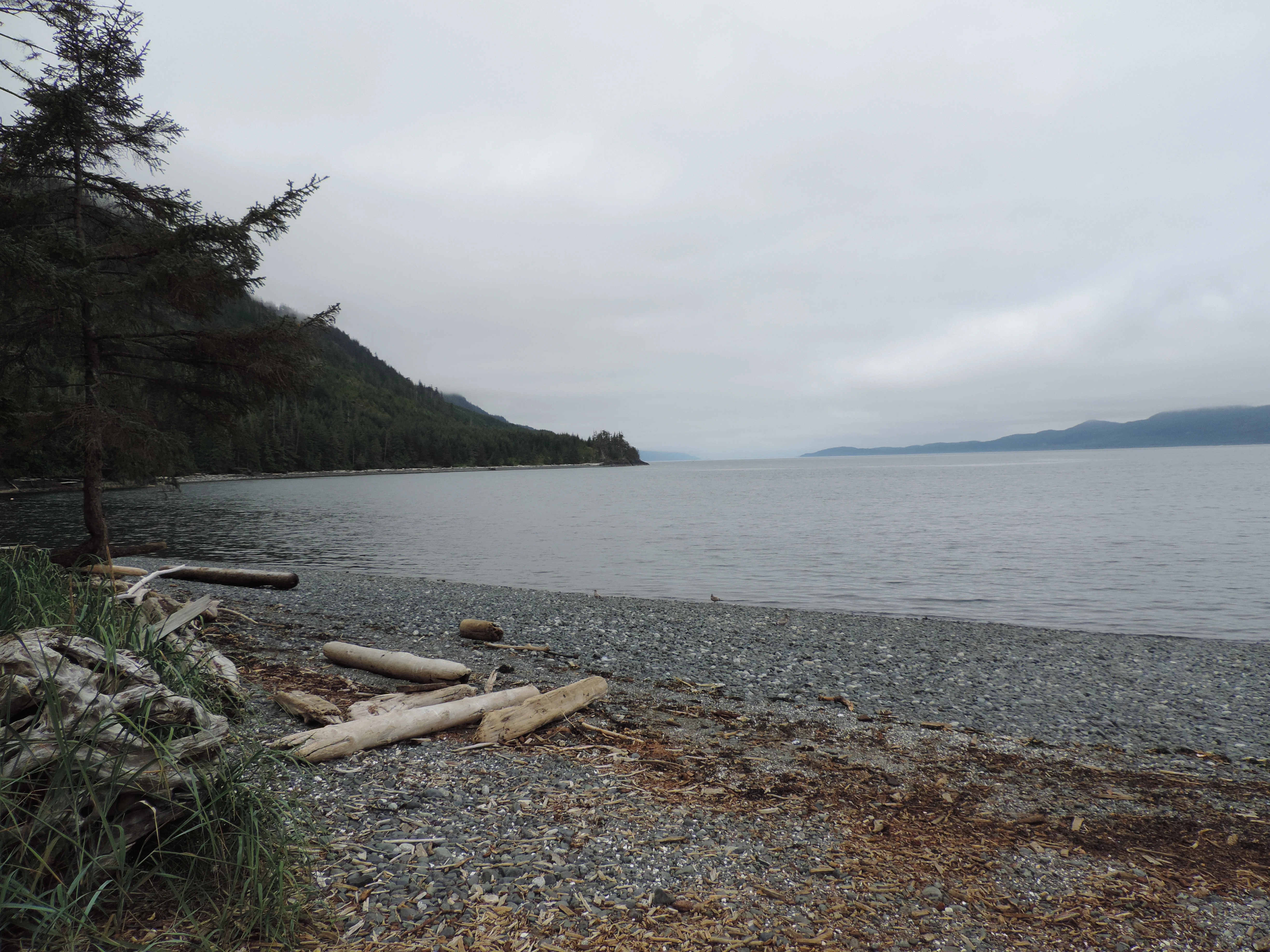 Photo: Recreation Sites and Trails BC. © Province of British Columbia, licensed under the Open Government Licence – British Columbia. Naka Creek, photo 2