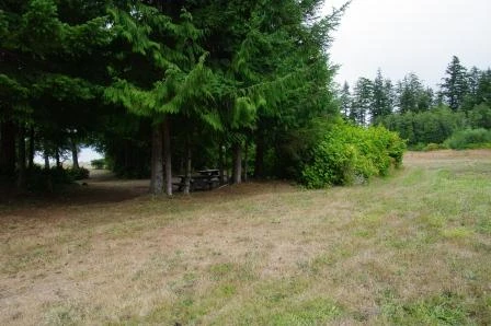 Photo: Recreation Sites and Trails BC. © Province of British Columbia, licensed under the Open Government Licence – British Columbia. Naka Creek, photo 6