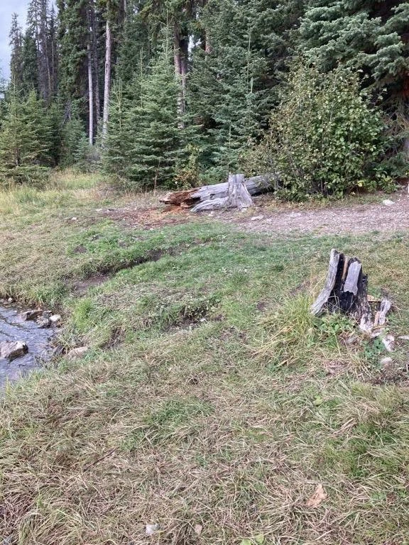 Photo: Recreation Sites and Trails BC. © Province of British Columbia, licensed under the Open Government Licence – British Columbia. Ripple (Silver) Lake, photo 6