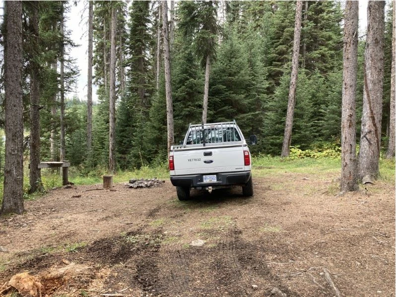 Photo: Recreation Sites and Trails BC. © Province of British Columbia, licensed under the Open Government Licence – British Columbia. Ripple (Silver) Lake, photo 8