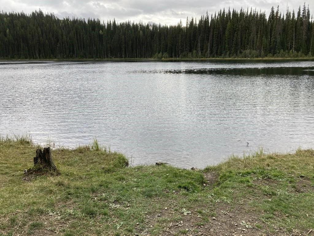 Photo: Recreation Sites and Trails BC. © Province of British Columbia, licensed under the Open Government Licence – British Columbia. Ripple (Silver) Lake, photo 5