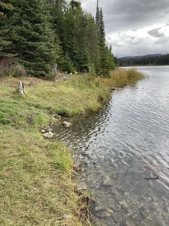 Photo: Recreation Sites and Trails BC. © Province of British Columbia, licensed under the Open Government Licence – British Columbia. Ripple (Silver) Lake, photo 3