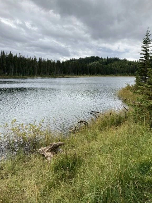 Photo: Recreation Sites and Trails BC. © Province of British Columbia, licensed under the Open Government Licence – British Columbia. Ripple (Silver) Lake, photo 4