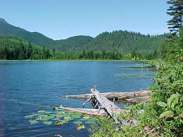 Photo: Recreation Sites and Trails BC. © Province of British Columbia, licensed under the Open Government Licence – British Columbia. West Lake