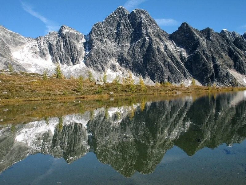 Photo: Recreation Sites and Trails BC. © Province of British Columbia, licensed under the Open Government Licence – British Columbia. Monica Meadows Site, photo 7