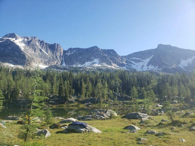 Photo: Recreation Sites and Trails BC. © Province of British Columbia, licensed under the Open Government Licence – British Columbia. Monica Meadows Site, photo 20