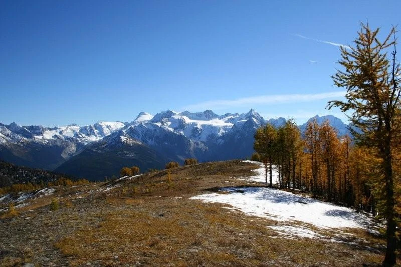 Photo: Recreation Sites and Trails BC. © Province of British Columbia, licensed under the Open Government Licence – British Columbia. Monica Meadows Site, photo 3