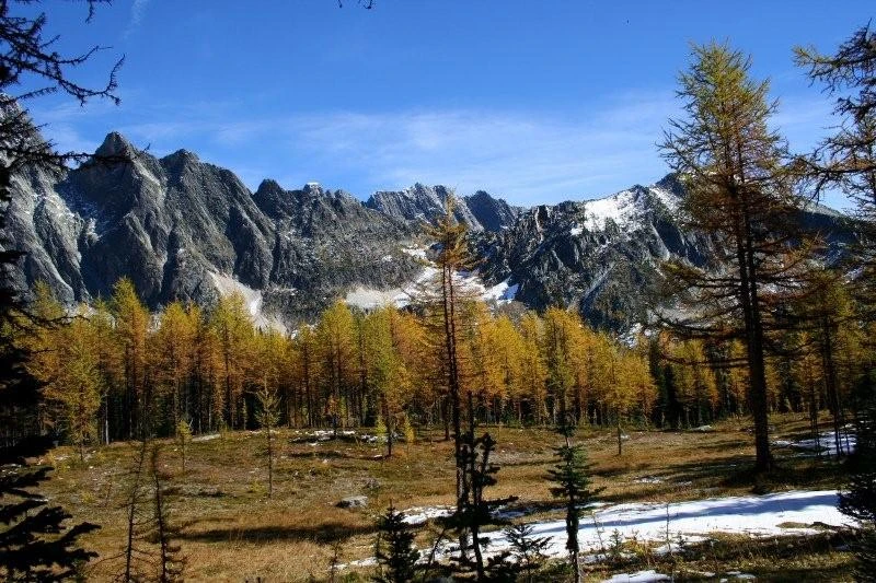Photo: Recreation Sites and Trails BC. © Province of British Columbia, licensed under the Open Government Licence – British Columbia. Monica Meadows Site, photo 15