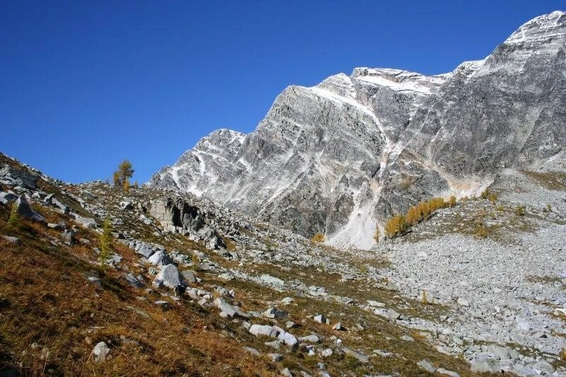 Photo: Recreation Sites and Trails BC. © Province of British Columbia, licensed under the Open Government Licence – British Columbia. Monica Meadows Site, photo 14