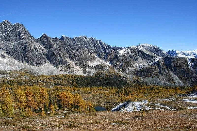 Photo: Recreation Sites and Trails BC. © Province of British Columbia, licensed under the Open Government Licence – British Columbia. Monica Meadows Site, photo 2