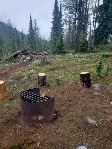 Photo: Recreation Sites and Trails BC. © Province of British Columbia, licensed under the Open Government Licence – British Columbia. Monica Meadows Site, photo 1
