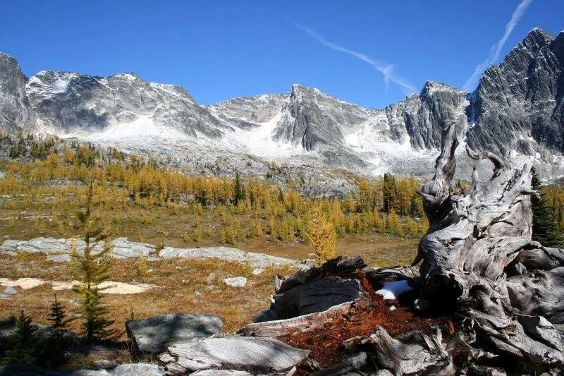 Photo: Recreation Sites and Trails BC. © Province of British Columbia, licensed under the Open Government Licence – British Columbia. Monica Meadows Site, photo 10
