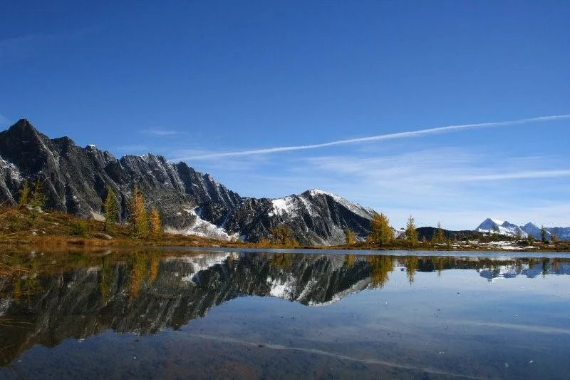Photo: Recreation Sites and Trails BC. © Province of British Columbia, licensed under the Open Government Licence – British Columbia. Monica Meadows Site, photo 13