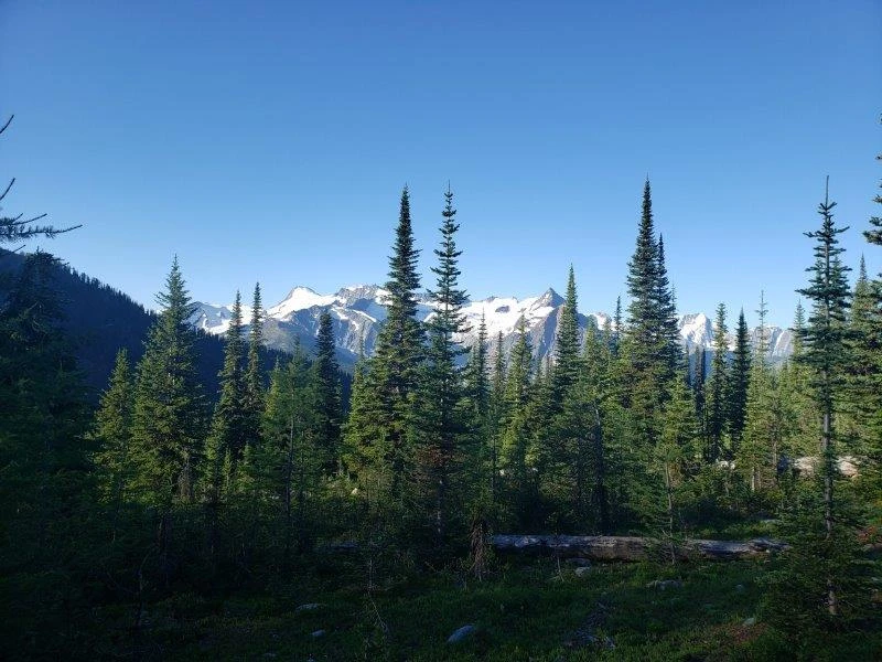Photo: Recreation Sites and Trails BC. © Province of British Columbia, licensed under the Open Government Licence – British Columbia. Monica Meadows Site, photo 17