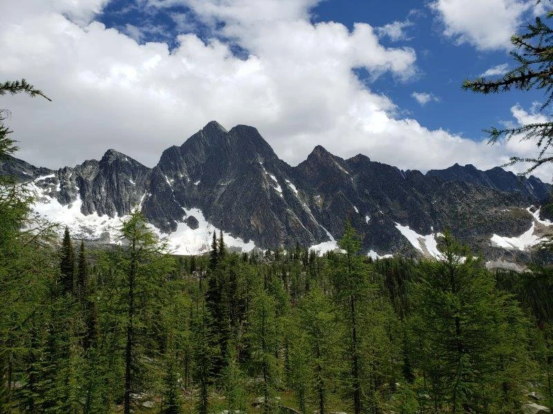 Photo: Recreation Sites and Trails BC. © Province of British Columbia, licensed under the Open Government Licence – British Columbia. Monica Meadows Site, photo 21