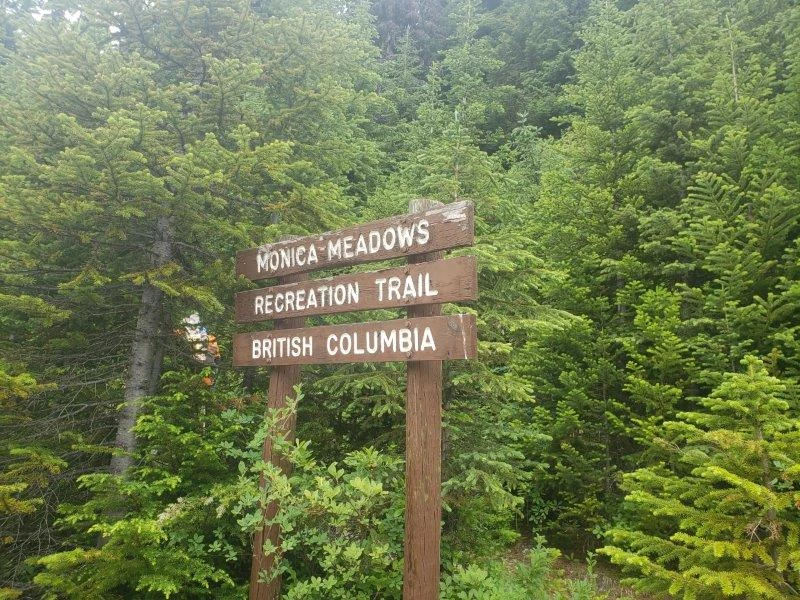 Photo: Recreation Sites and Trails BC. © Province of British Columbia, licensed under the Open Government Licence – British Columbia. Monica Meadows Site, photo 23