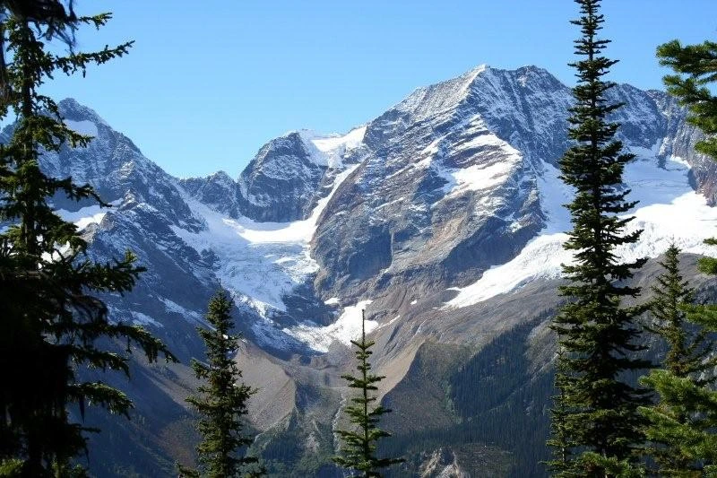Photo: Recreation Sites and Trails BC. © Province of British Columbia, licensed under the Open Government Licence – British Columbia. Monica Meadows Site, photo 5