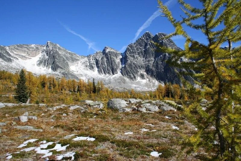 Photo: Recreation Sites and Trails BC. © Province of British Columbia, licensed under the Open Government Licence – British Columbia. Monica Meadows Site, photo 12