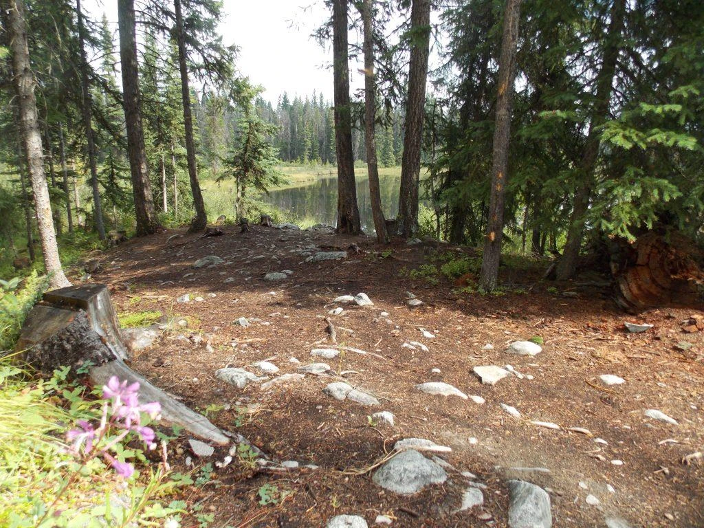 Photo: Recreation Sites and Trails BC. © Province of British Columbia, licensed under the Open Government Licence – British Columbia. Gump Lake, photo 2