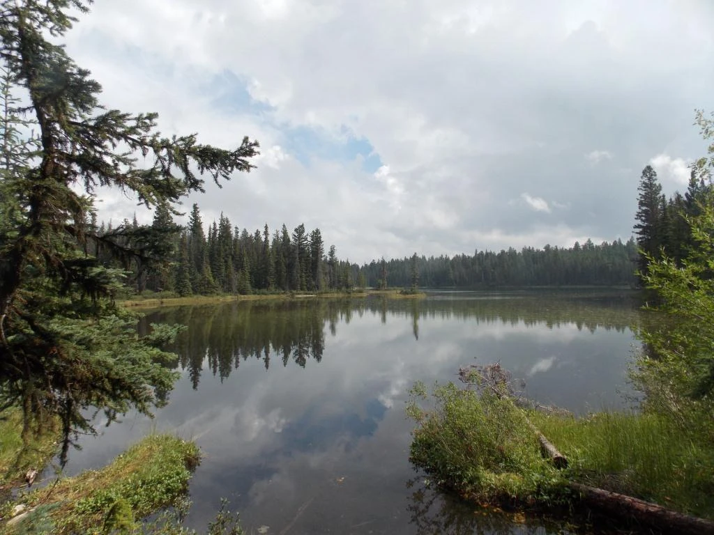 Photo: Recreation Sites and Trails BC. © Province of British Columbia, licensed under the Open Government Licence – British Columbia. Gump Lake, photo 3