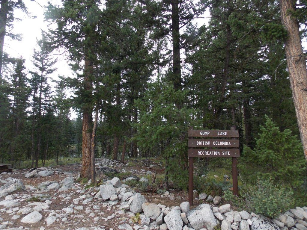 Photo: Recreation Sites and Trails BC. © Province of British Columbia, licensed under the Open Government Licence – British Columbia. Gump Lake, photo 4
