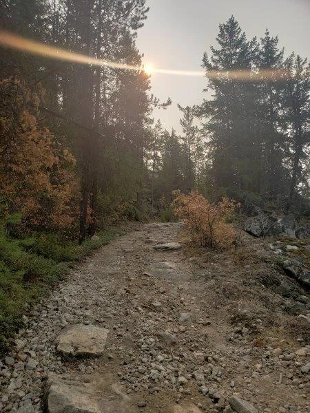 Photo: Recreation Sites and Trails BC. © Province of British Columbia, licensed under the Open Government Licence – British Columbia. Powder Beach, photo 3