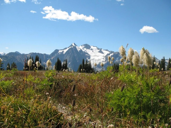 Meadow Mountain | Sites and Trails BC