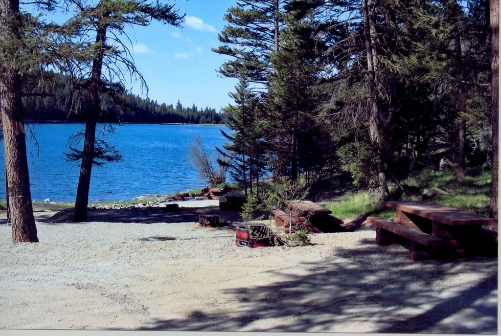 Photo: Recreation Sites and Trails BC. © Province of British Columbia, licensed under the Open Government Licence – British Columbia. Bleeker Lake, photo 3